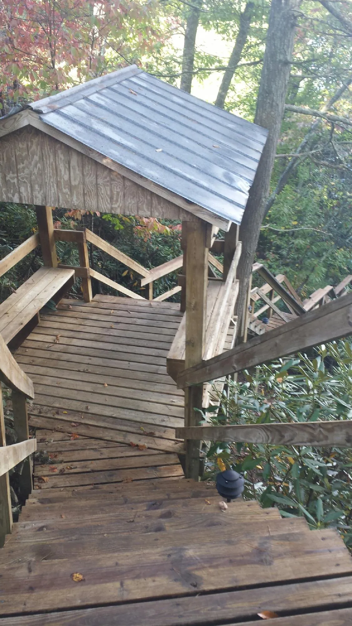 Metal roofed shelter over wooden steps on a wooded walkway in South Bay